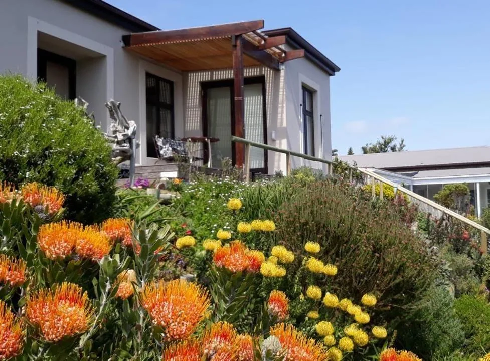 1 Bedroom Apartment / flat to rent in Belvedere