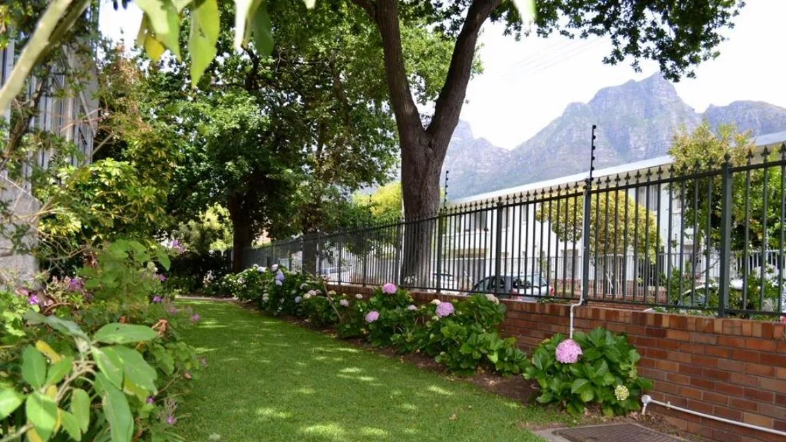 3 Bedroom Apartment / flat to rent in Rondebosch