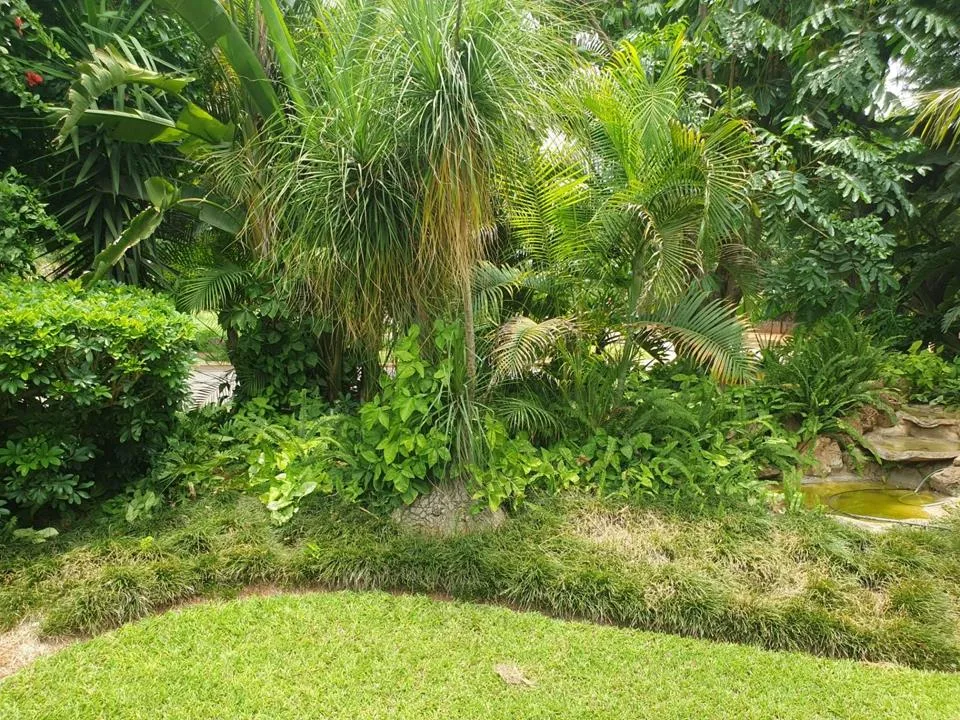 4 Bedroom House for sale in Marble Hall