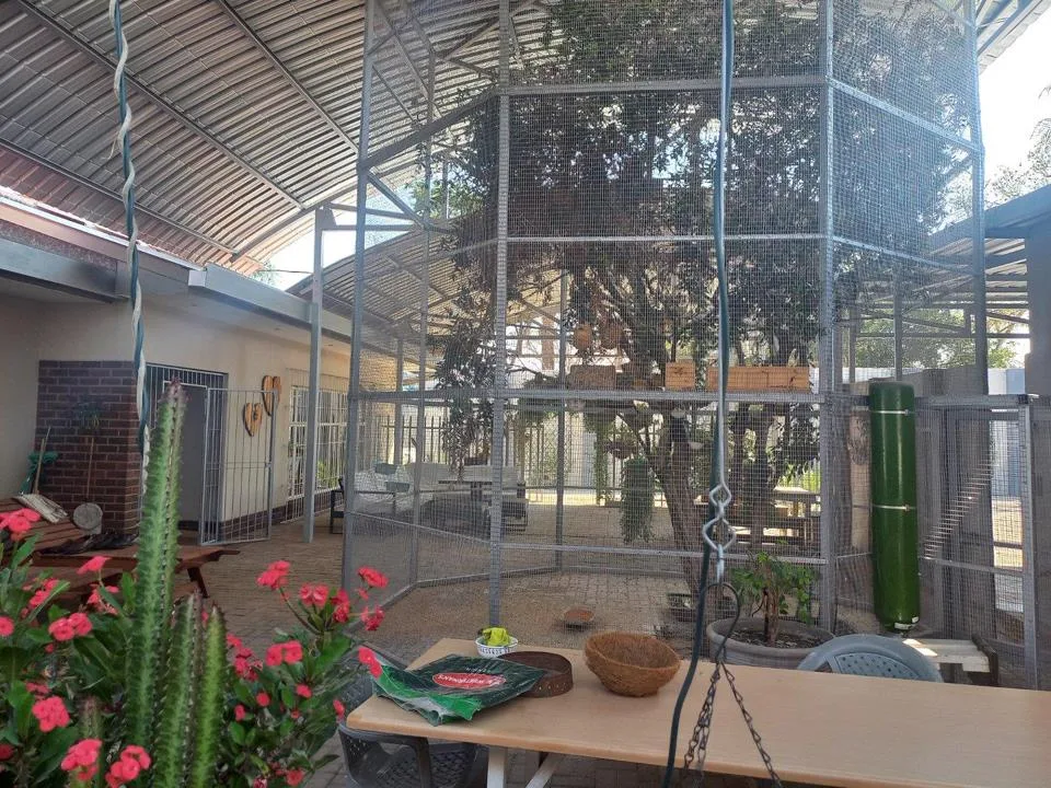 6 Bedroom House for sale in Polokwane Central