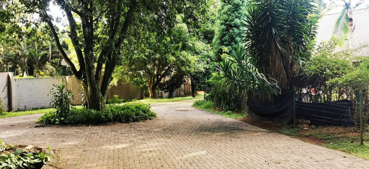 1 Bedroom Apartment / flat to rent in White River AH