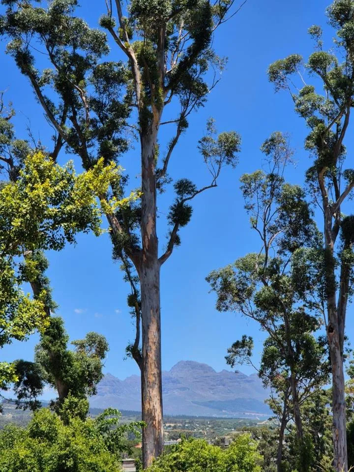 4 Bedroom Townhouse to rent in La Colline