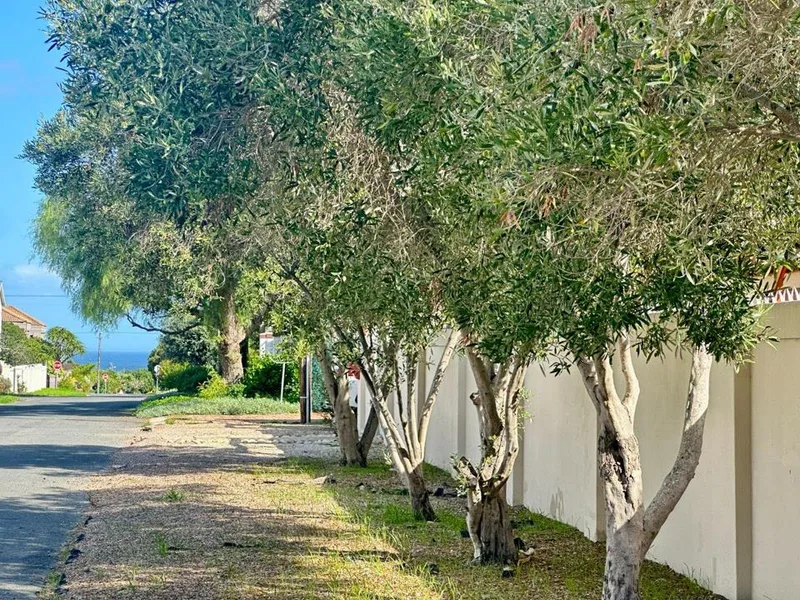3 Bedroom House to rent in Onrus