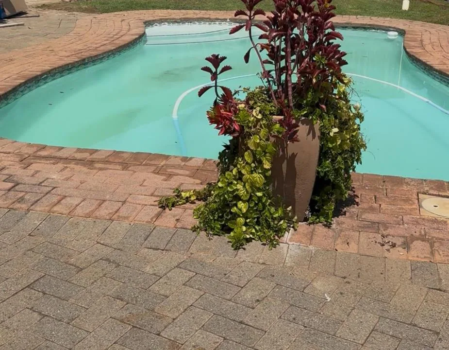 1 Bedroom Apartment / flat to rent in East Lynne