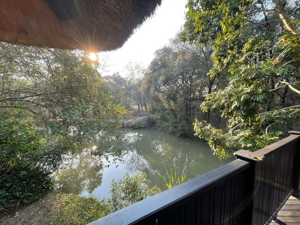 4 Bedroom House for sale in Hazyview
