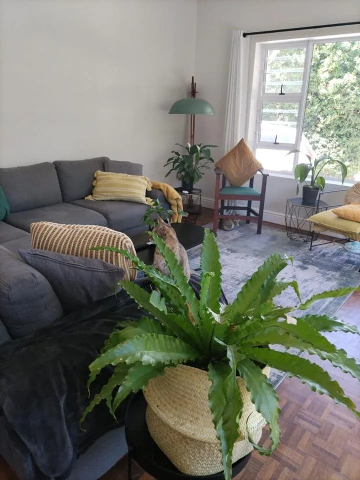 3 Bedroom House to rent in Grahamstown Central