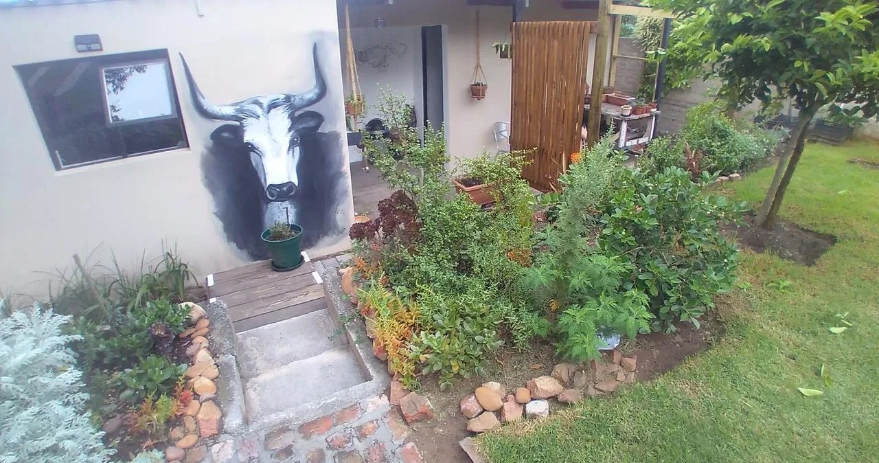 1 Bedroom House to rent in North End
