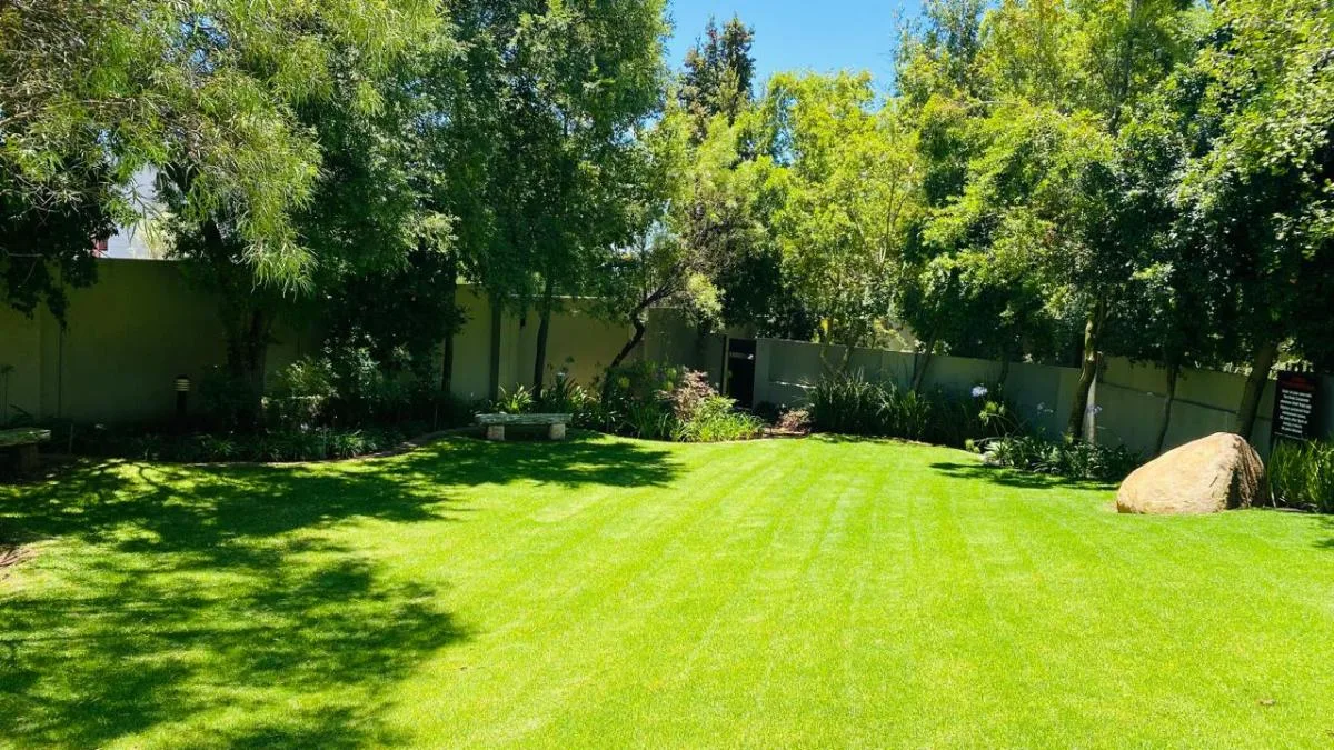 1 Bedroom Apartment / flat to rent in Lonehill