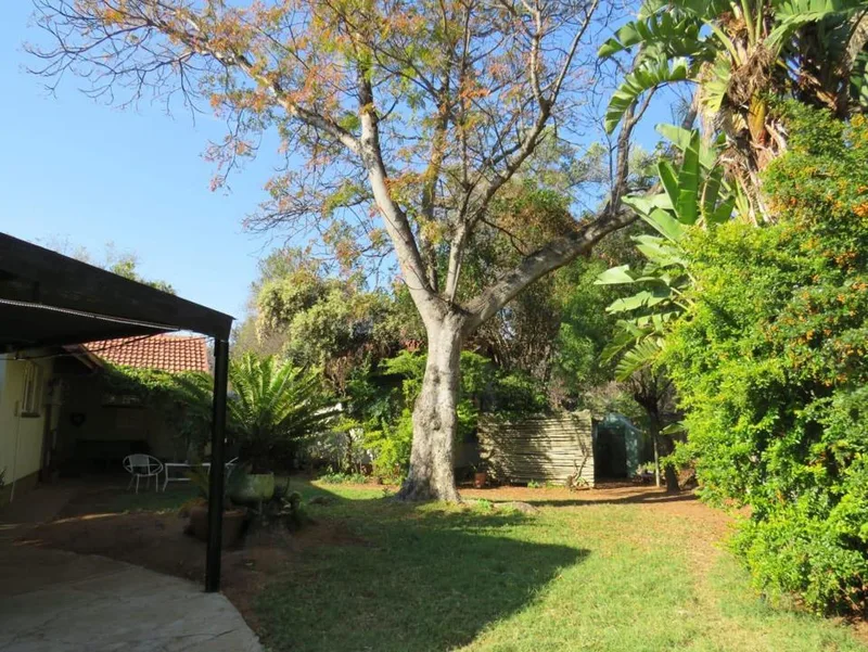3 Bedroom House to rent in Lephalale