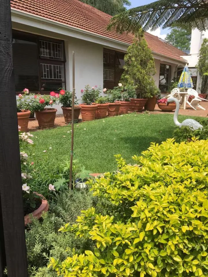 1 Bedroom Apartment / flat to rent in Illovo