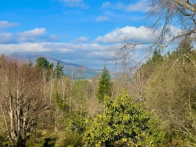 5 Bedroom House for sale in Hogsback
