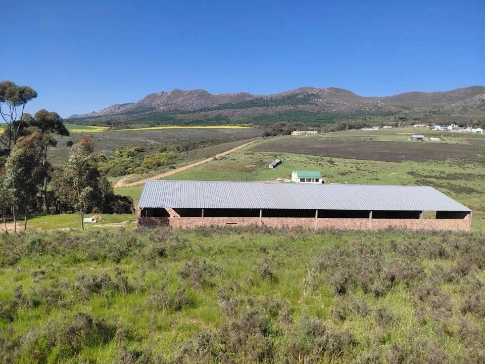 3 Bedroom House for sale in Tesselaarsdal