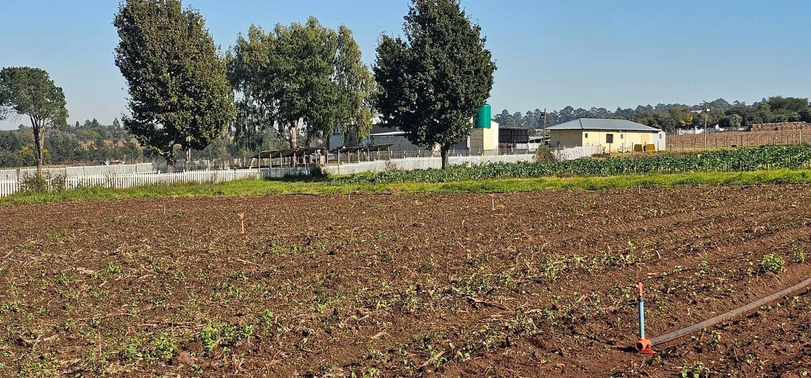 23 ha Farm in Sterkfontein