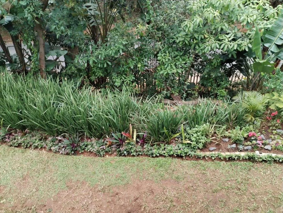 3 Bedroom Apartment / flat for sale in Ballito Central