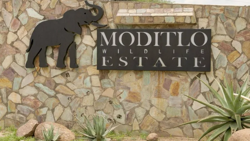1.3 ha Land available in Moditlo Nature Reserve