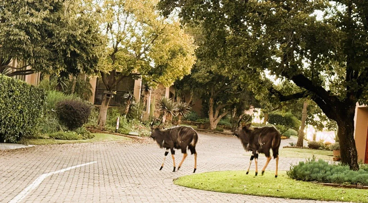 2 Bedroom Townhouse for sale in Woodland Hills Wildlife Estate