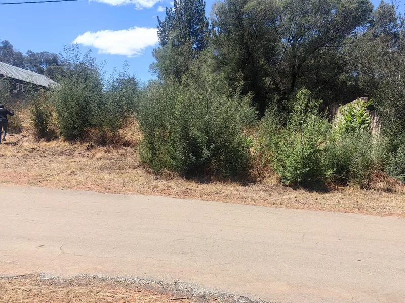 400 m² Land available in Walker Fruit Farms AH