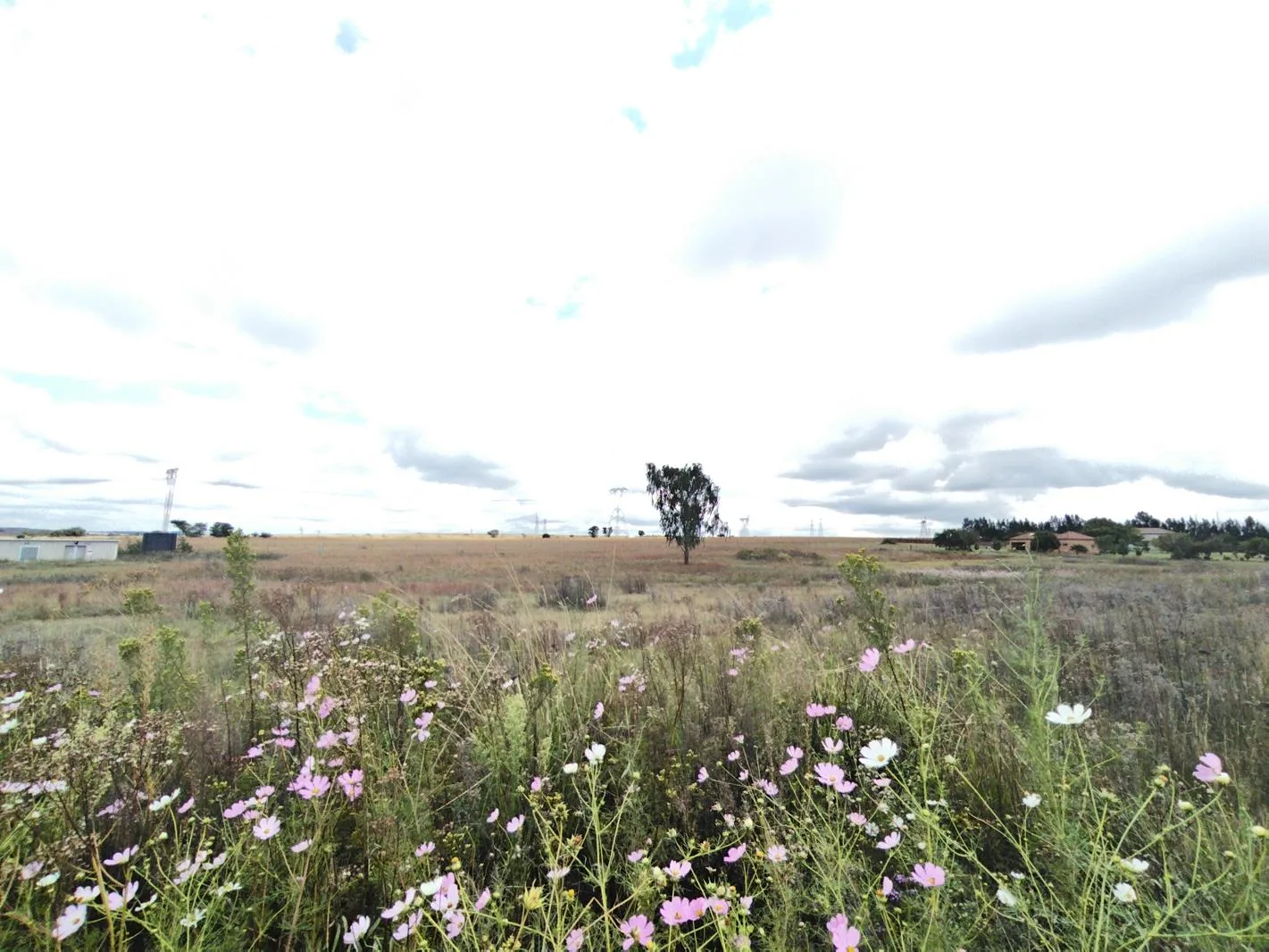 1 ha Land available in Rietvlei View Country Estates