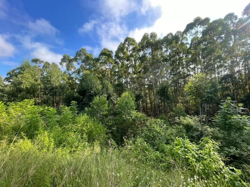 1 003 m² Land available in Elaleni Coastal Forest Estate