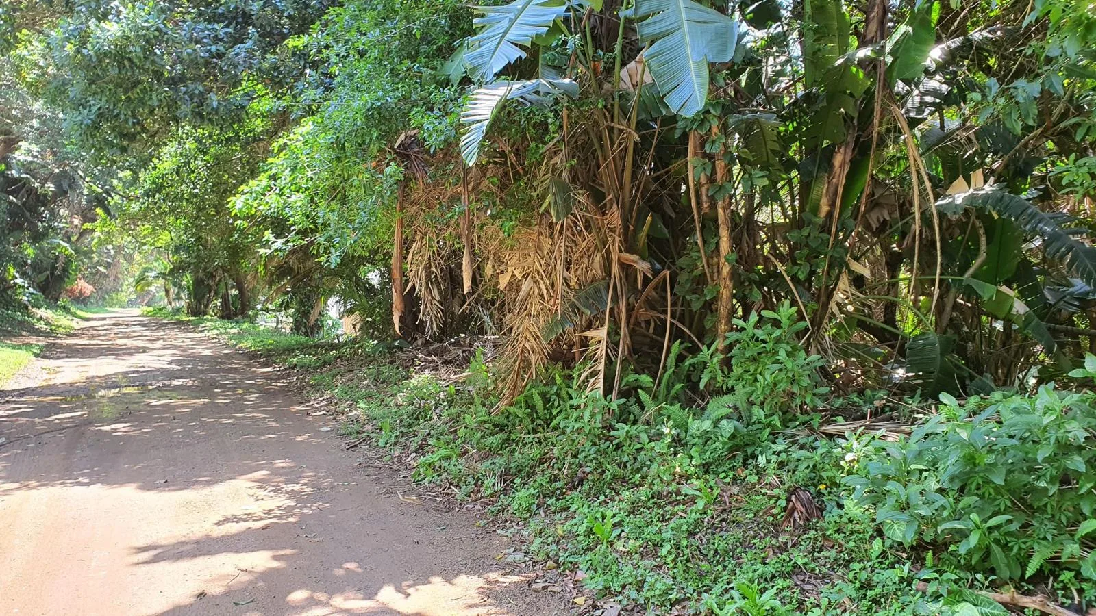 1 355 m² Land available in Glenmore