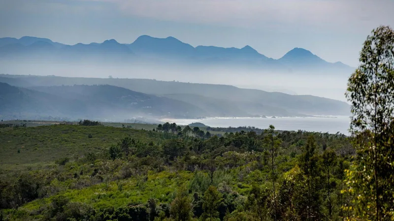 6.6 ha Land available in Hillview