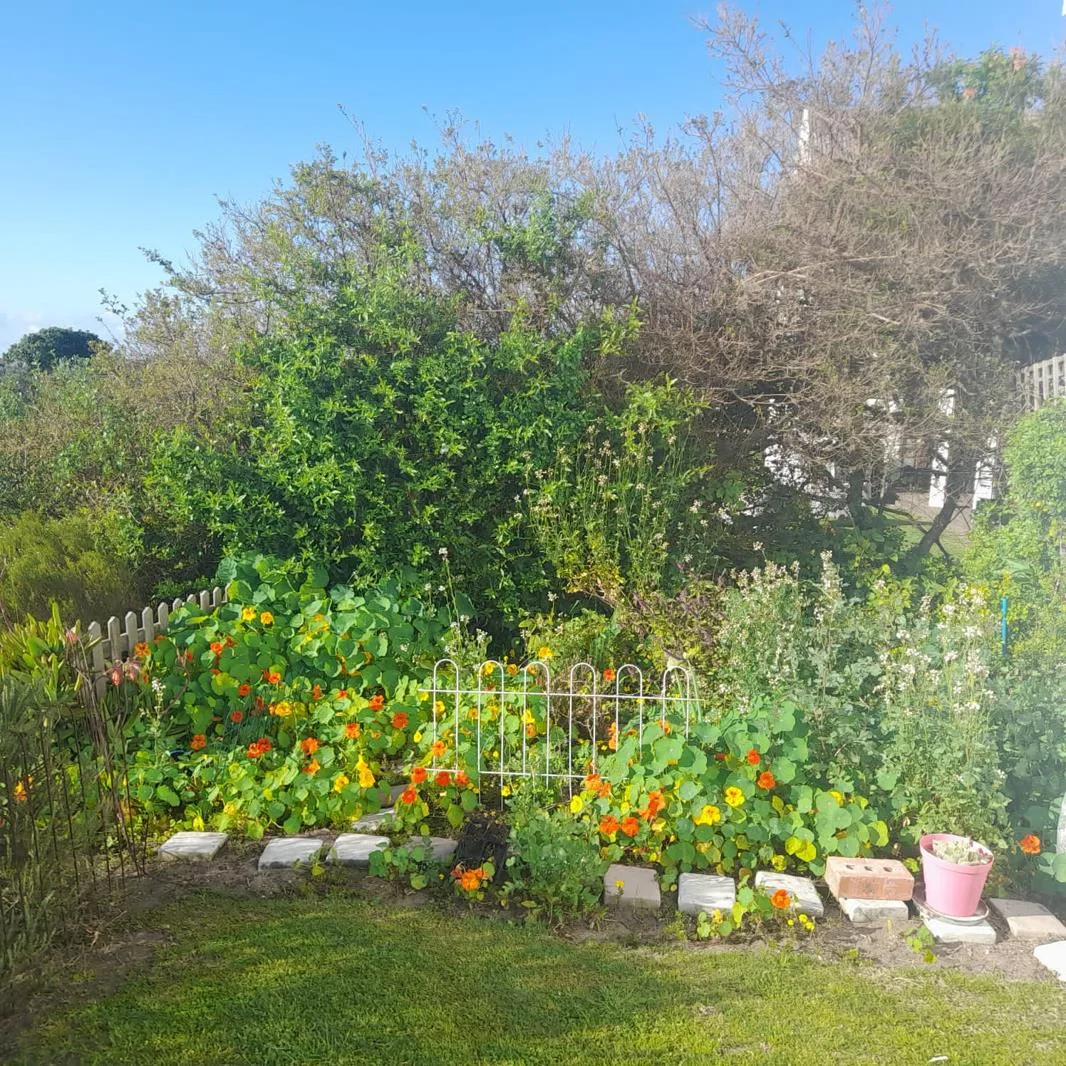 3 Bedroom House in St Francis Links Golf Estate