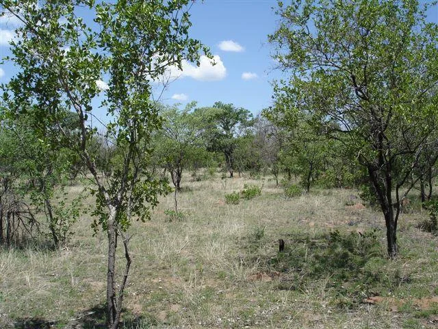 8.5 ha Land available in Kromdraai