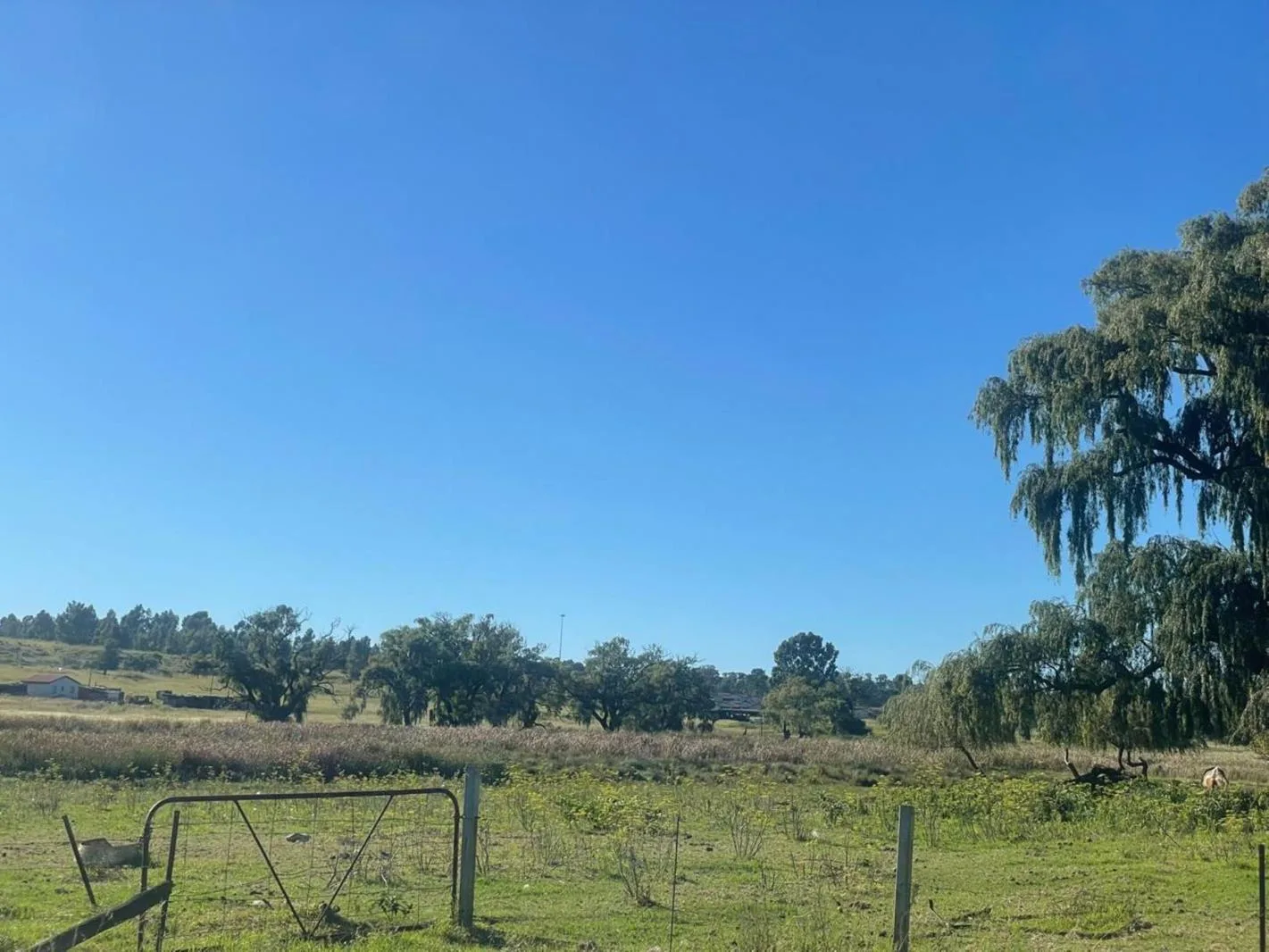 2 855 m² Land available in Belfast