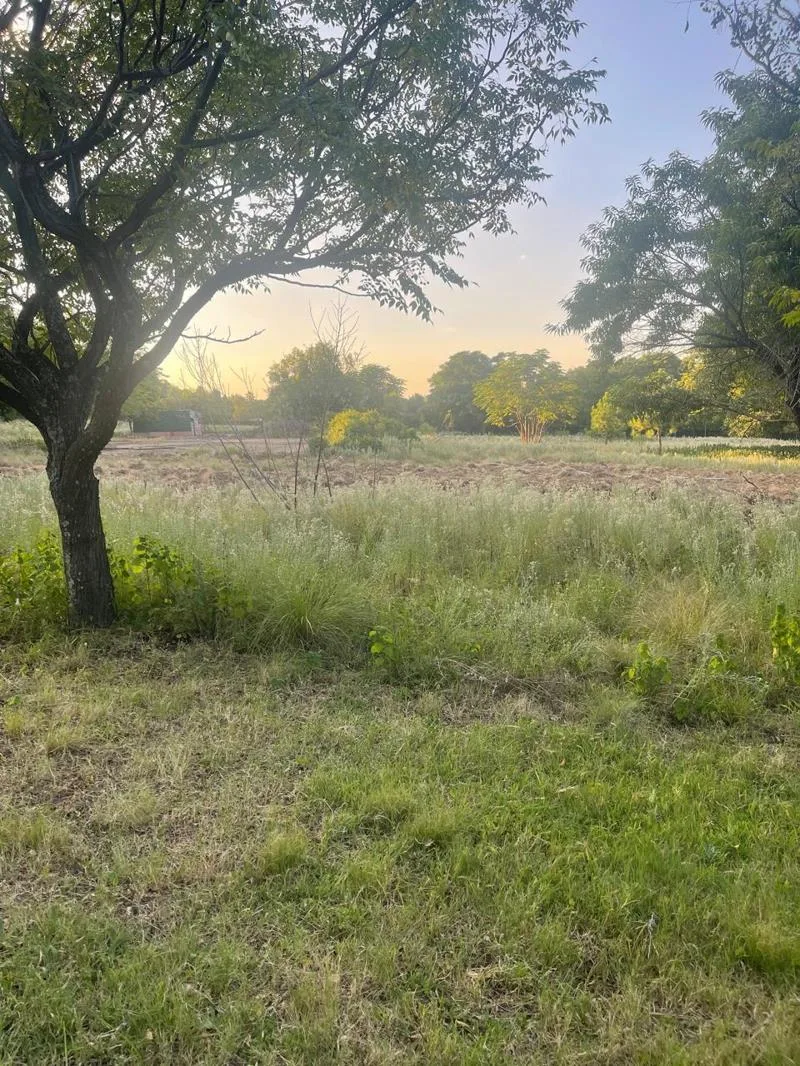 1 ha Land available in Glenferness AH