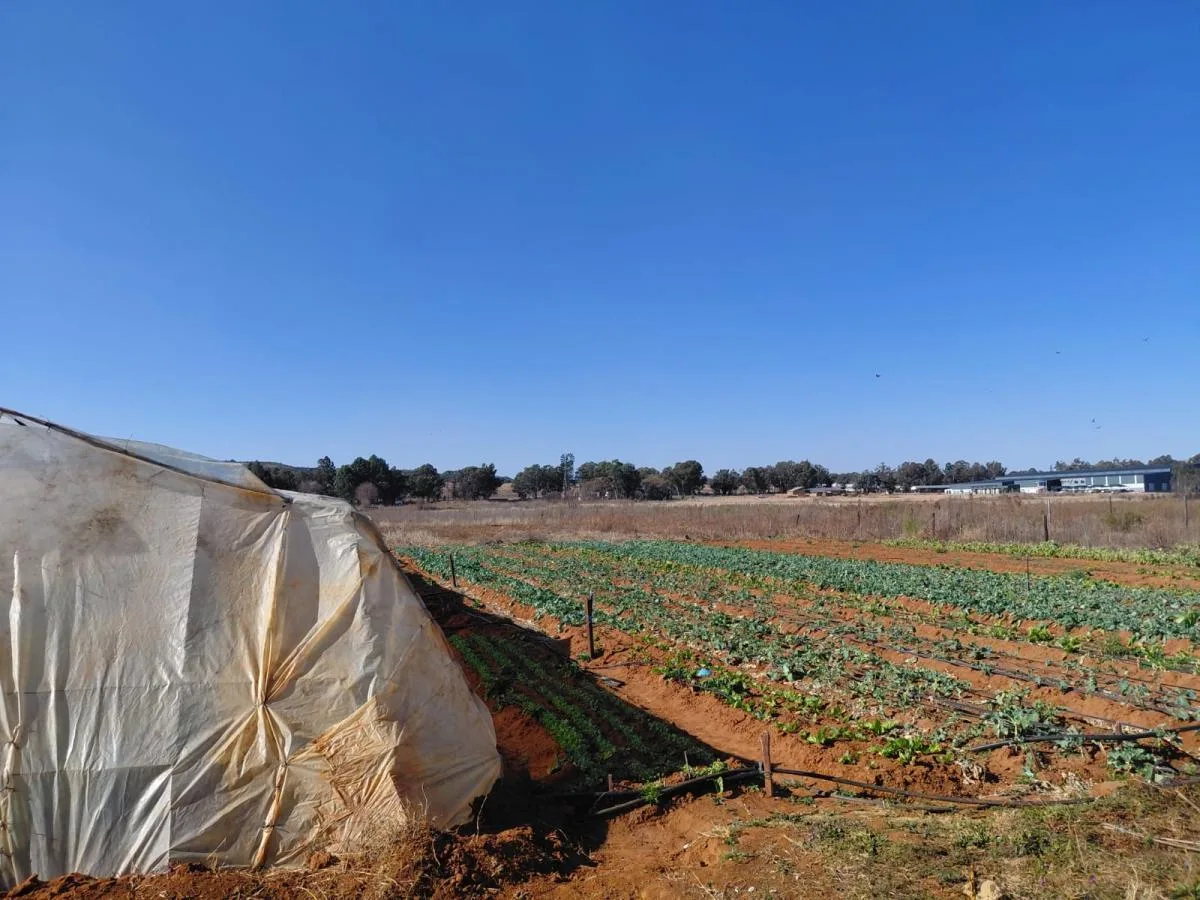 4.5 ha Farm in Walker Fruit Farms AH