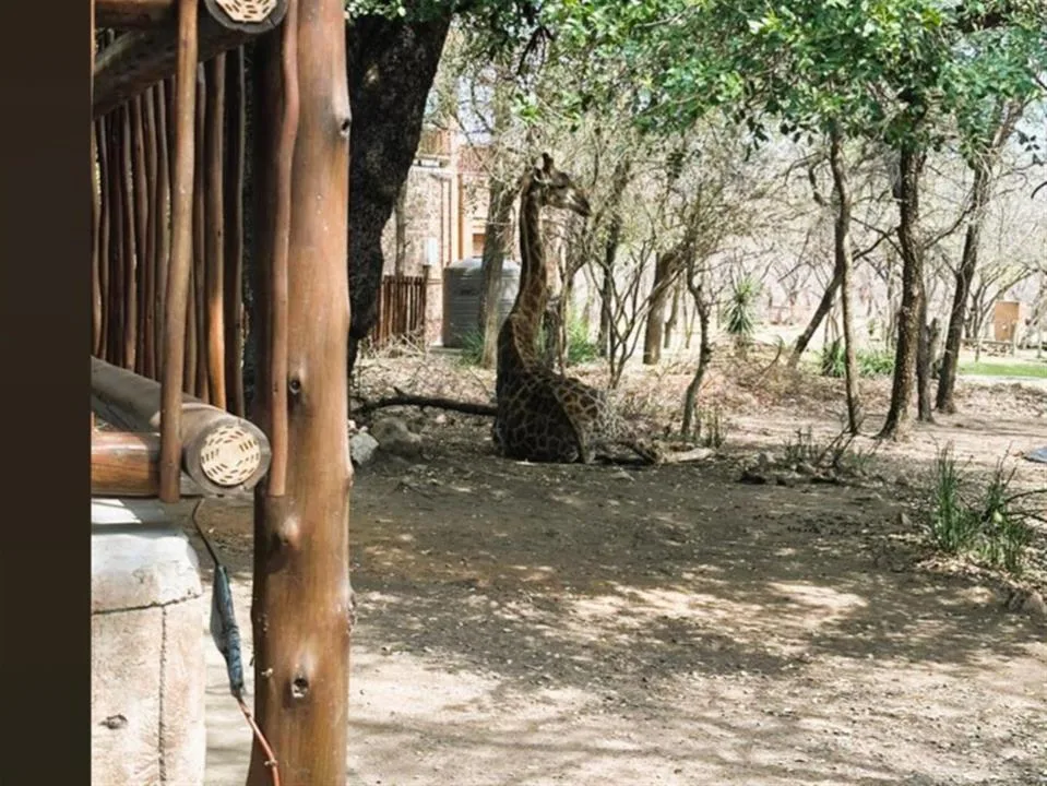 3 Bedroom House for sale in Marloth Park