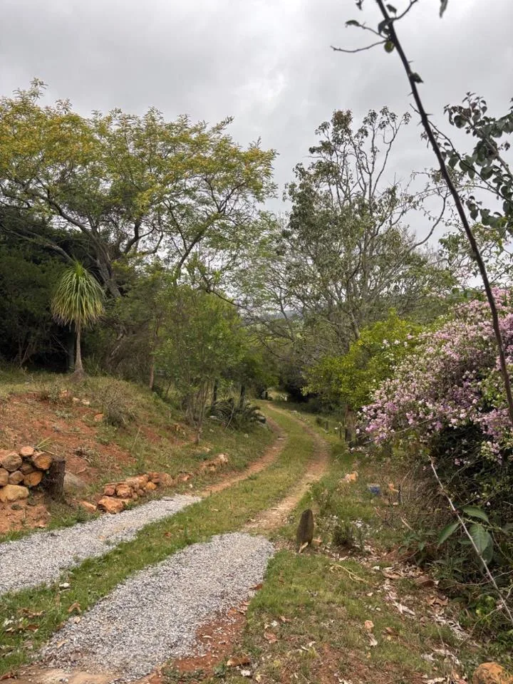 4 Bedroom House for sale in Grahamstown Central