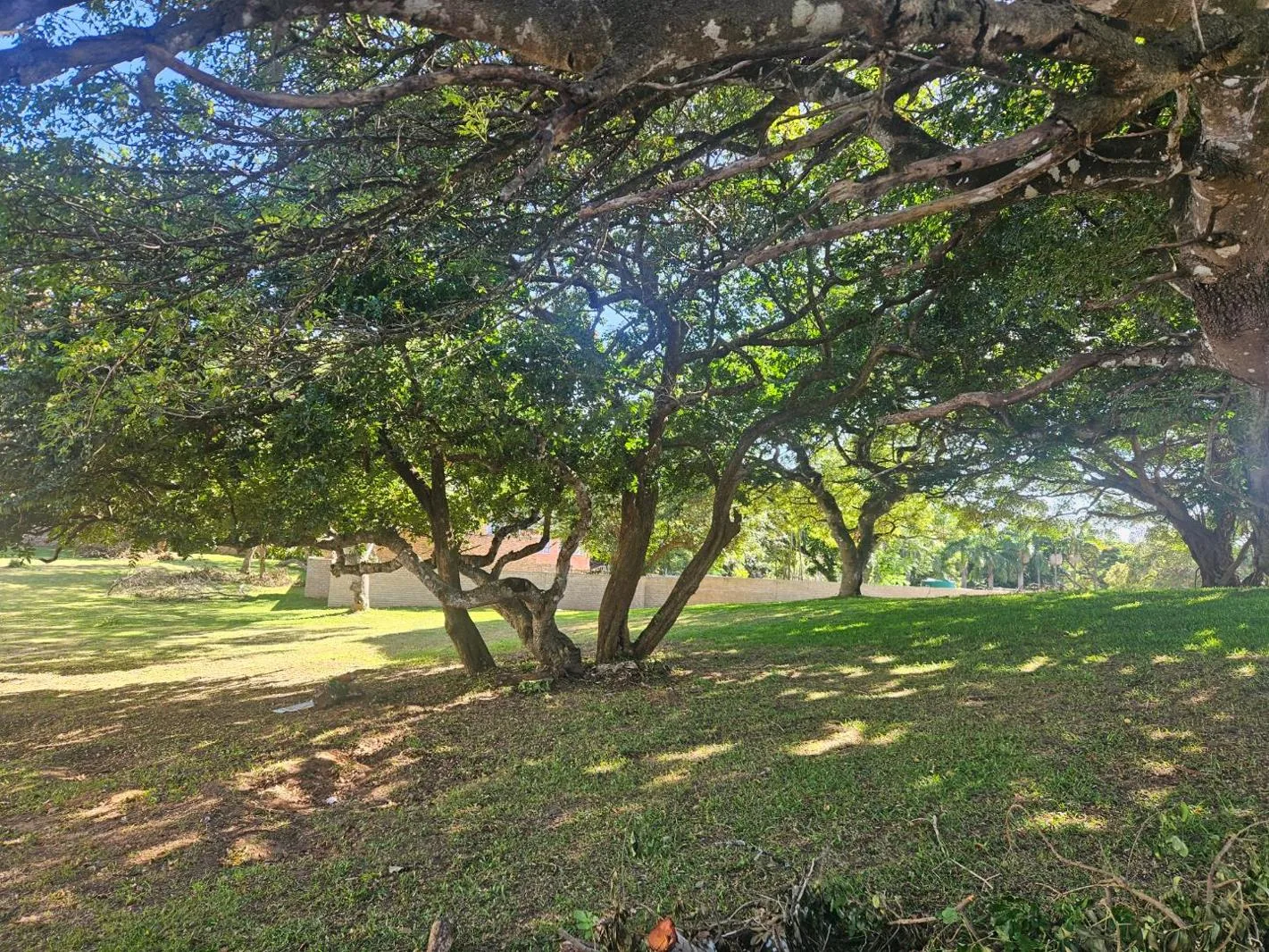 937 m² Land available in St Lucia