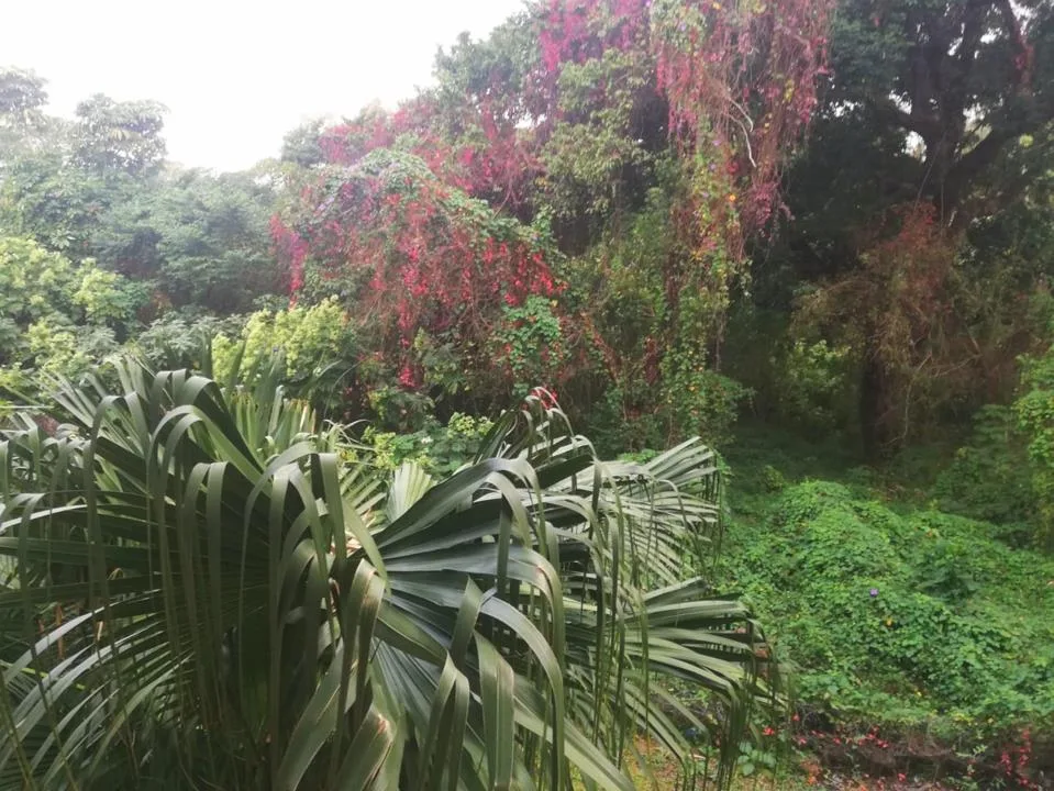 2 Bedroom Apartment / flat for sale in Port Shepstone Central