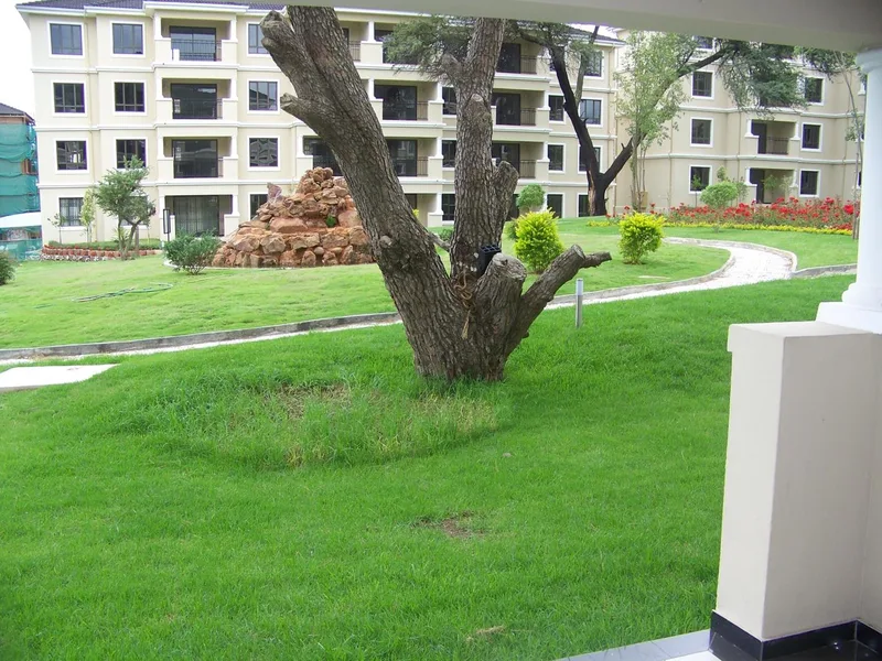 1 Bedroom Apartment in Noordwyk