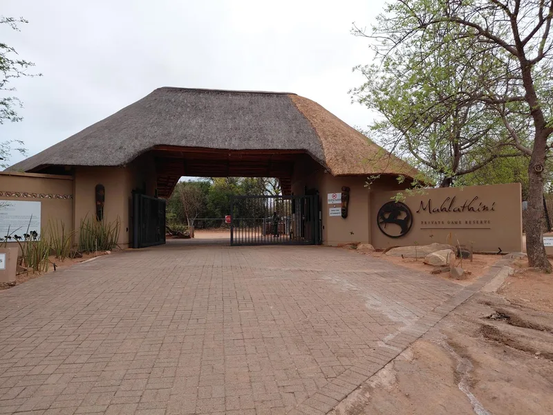 21 ha Land available in Phalaborwa