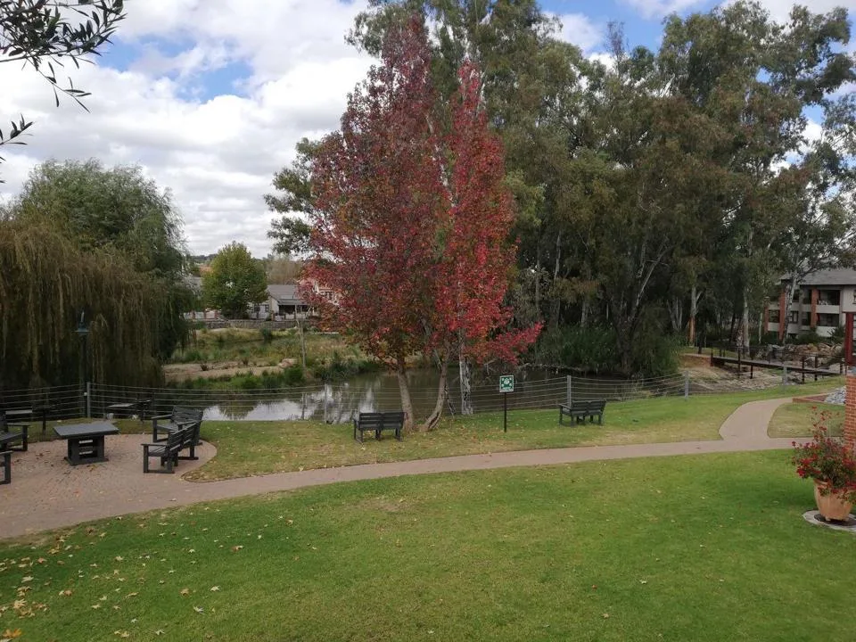 1 Bedroom Apartment / flat to rent in Douglasdale