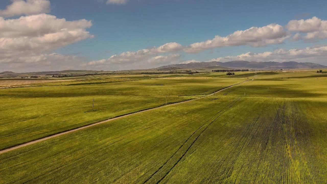 1 994 m² Land available in Kalbaskraal