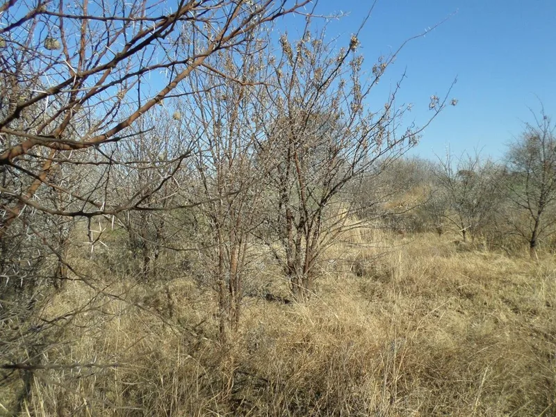 738 m² Land available in Parys Golf Estate