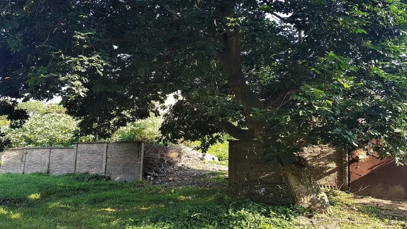 1 560 m² Land available in Widenham