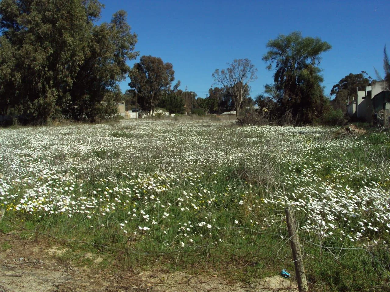 2 000 m² Land available in Hopefield