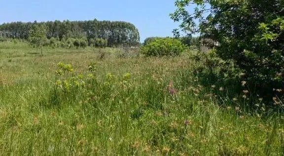 1 985 m² Land available in Esikhawini