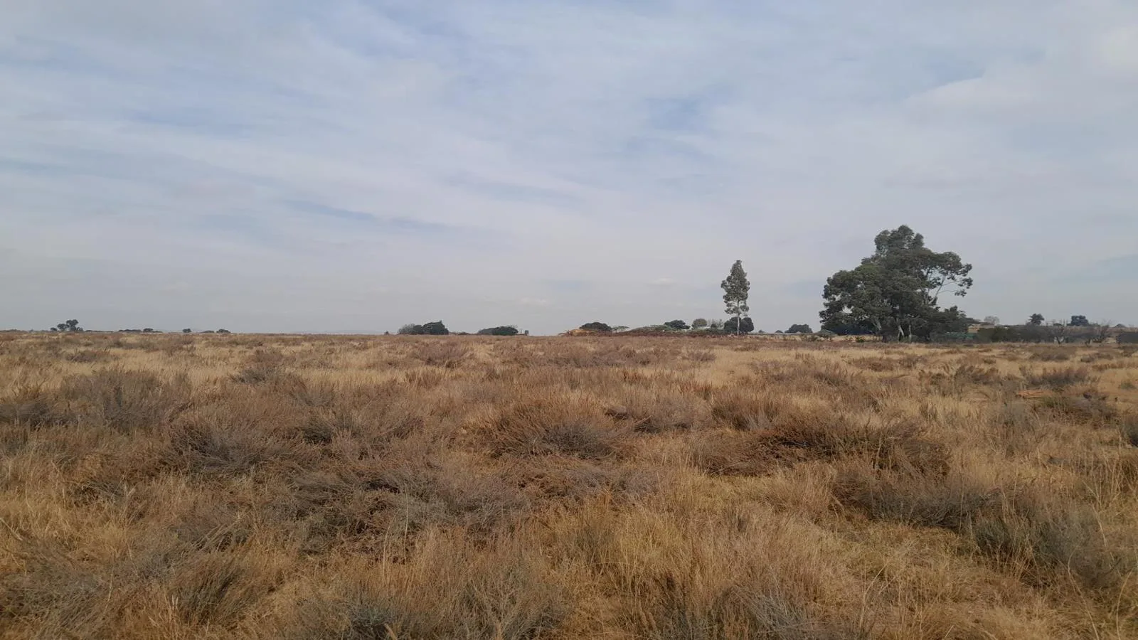 8 ha Farm in Meyerton Central