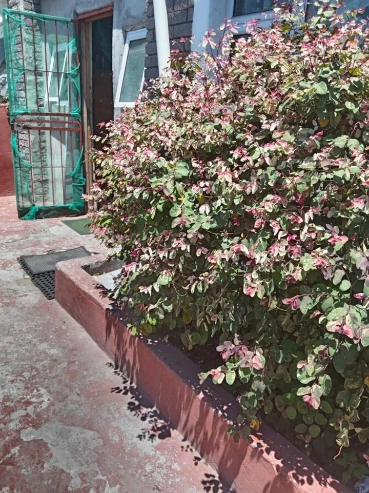 5 Bedroom House for sale in Westridge