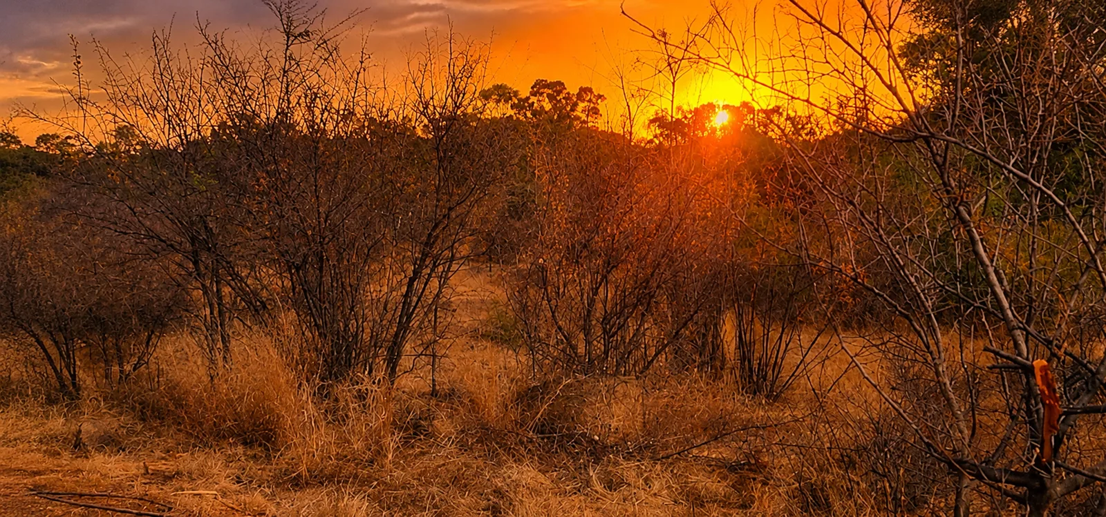 1 355 m² Land available in Vaal Marina