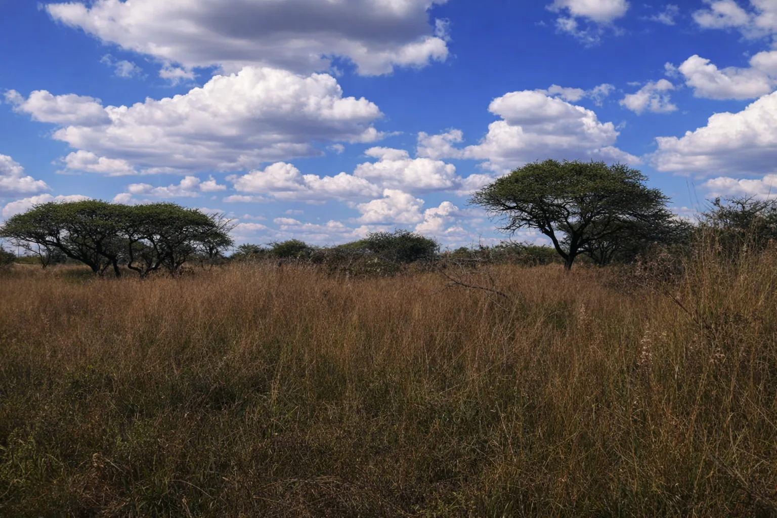 4 ha Land available in Tweefontein