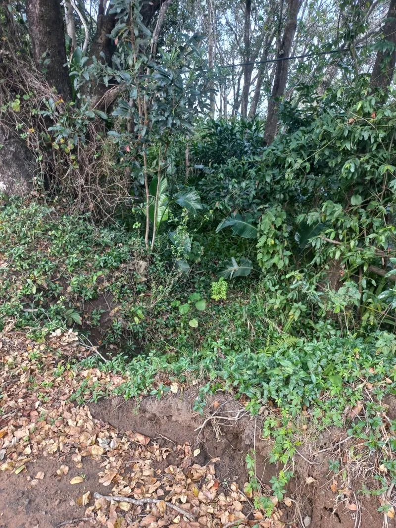 2 187 m² Land available in Palm Beach