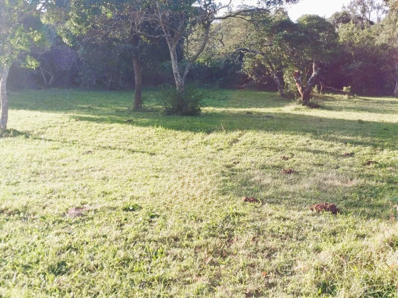 904 m² Land available in Cintsa East