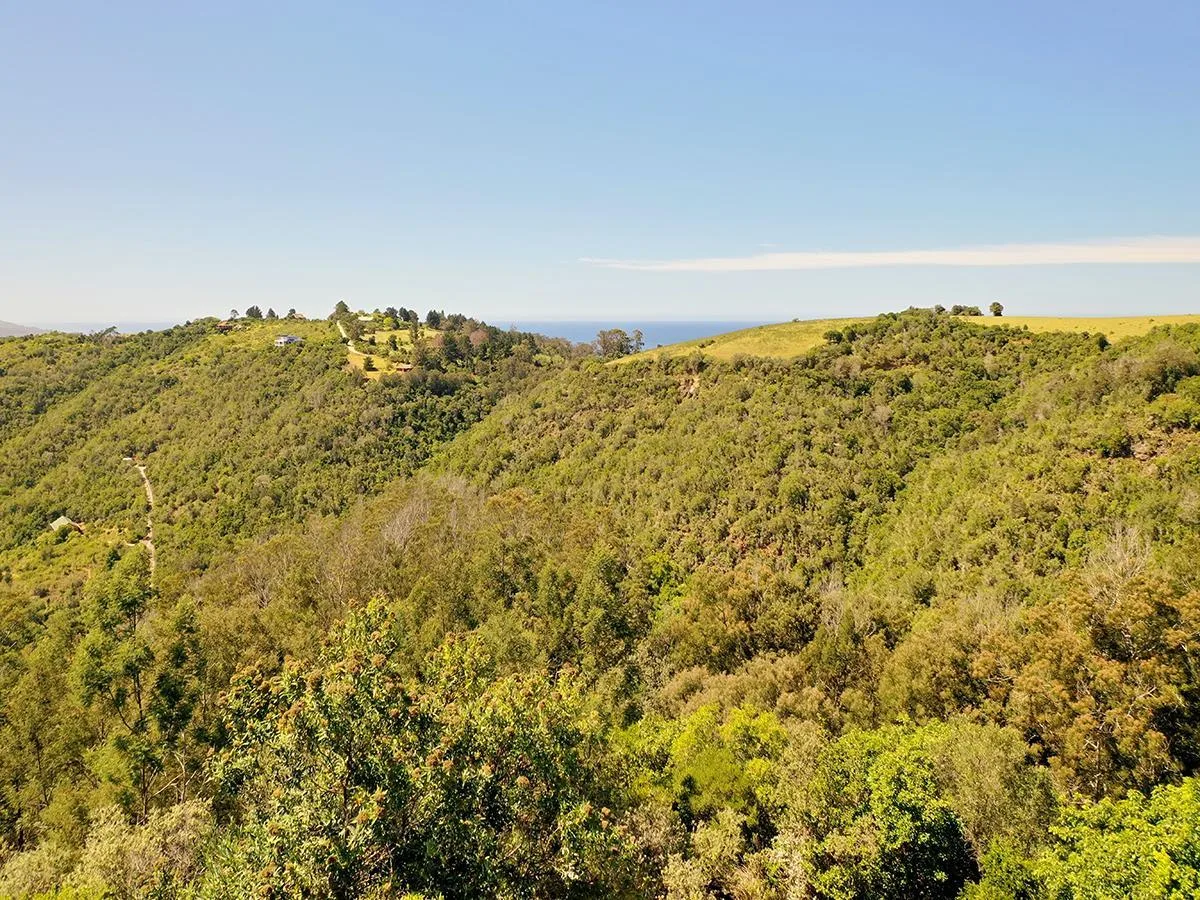 5 ha Land available in Wilderness Heights