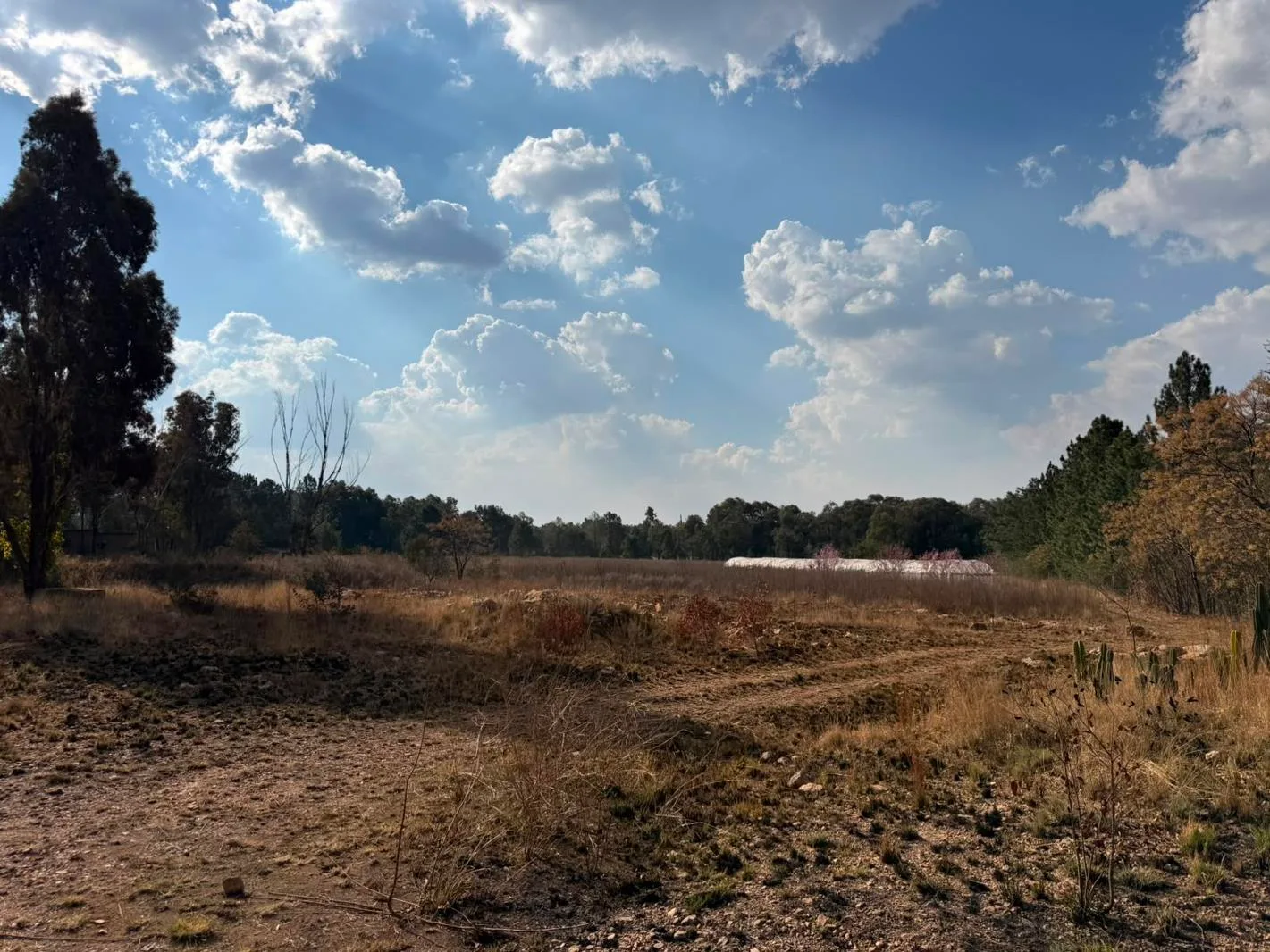 4 ha Farm in Meyerton Central